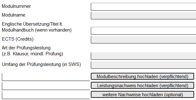 Abbildung 3: Pflichtfelder (grau) Abbildung 3: Pflichtfelder (grau)